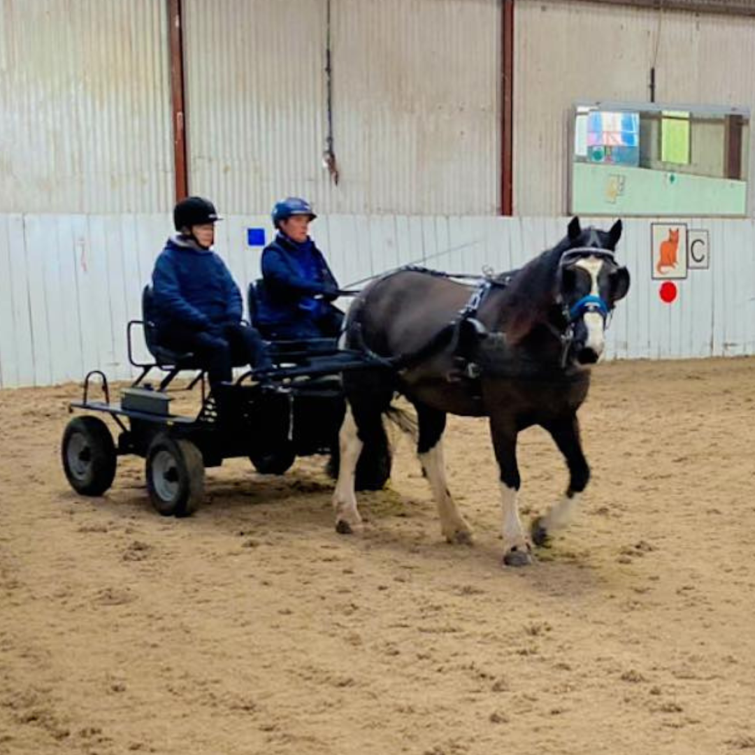 Clwyd RDA Carriage Driving Group is back in the driving seat!